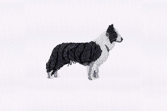Border Collie Embroidery Design Review