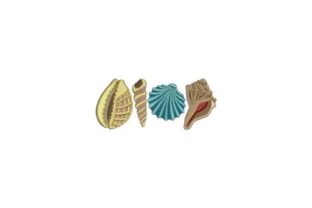 Seashells